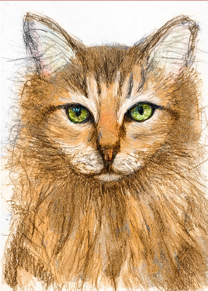 mr big the cat pencil by peterdustrud.com