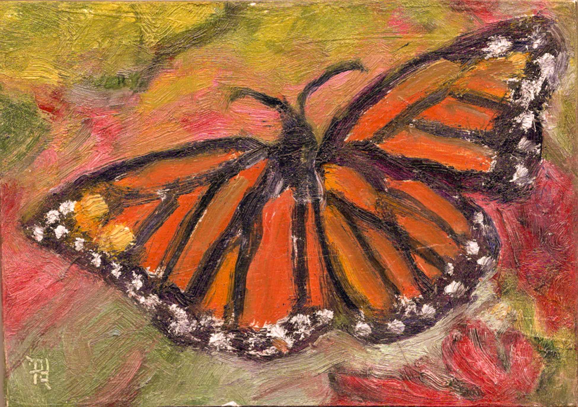 mini: Monarch peterdustrud.com