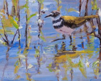 Killdeer Wading the Rio Grande - 8x10 oil by peter dustrud