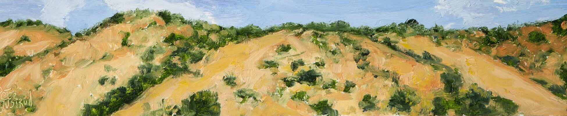 Tesuque Foothills 8x10 inches oil by peter dustrud