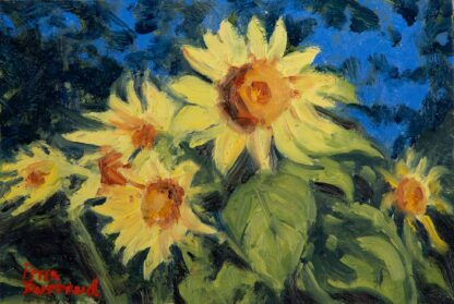 Morning Sunflowers 4x6 oil by peter dustrud